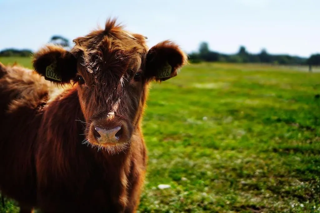 Gite De Charme A La Ferme - Duplex Landrévarzec Hébergement de vacances